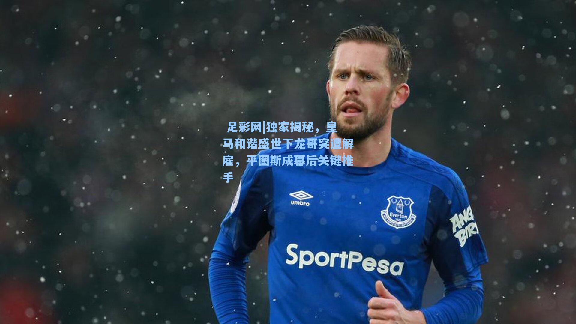  足彩网|独家揭秘，皇马和谐盛世下龙哥突遭解雇，平图斯成幕后关键推手